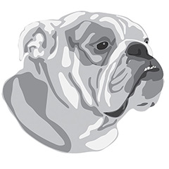  DuFauna Designs - English Bulldog 