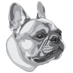  DuFauna Designs - French Bulldog  