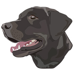  DuFauna Designs - Labrador Retriever Black Labrador