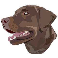  DuFauna Designs - Labrador Retriever Chocolate Labrador