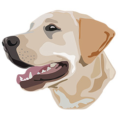  DuFauna Designs - Labrador Retriever Yellow Labrador