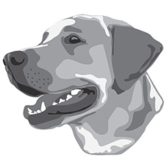  DuFauna Designs - Labrador Retriever 