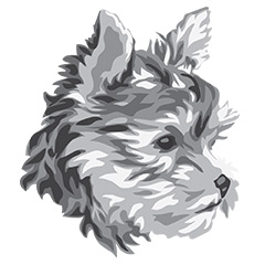  DuFauna Designs - Yorkie (Yorkshire Terrier) 